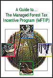 MFTIP.gif (11187 bytes)